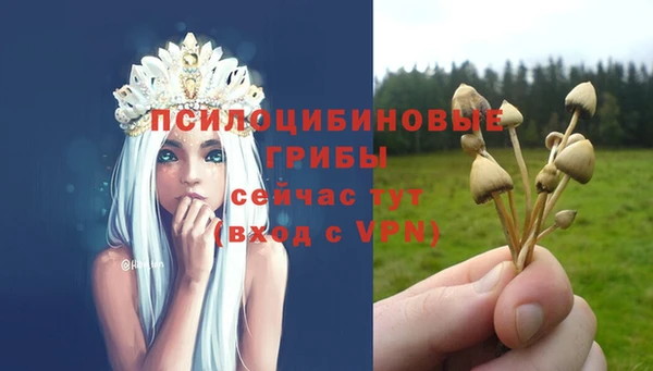 mdpv Каменка