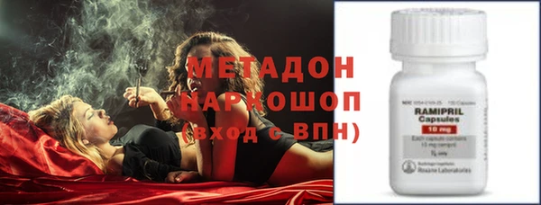 прущие грибы Каменногорск