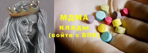 прущие грибы Каменногорск