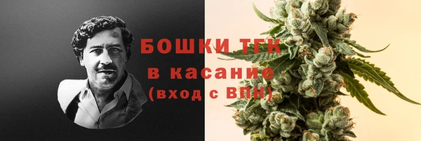 mdpv Каменка