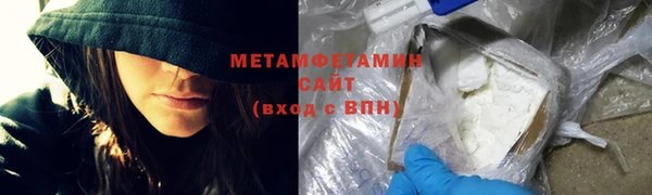 прущие грибы Каменногорск