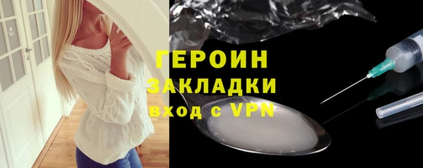 прущие грибы Каменногорск