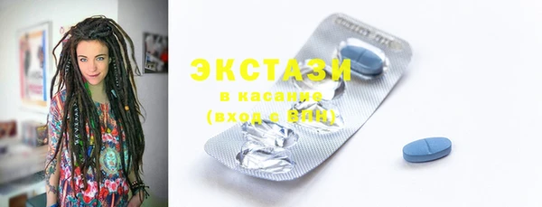 прущие грибы Каменногорск