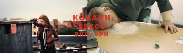 прущие грибы Каменногорск