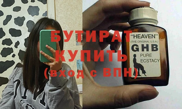 прущие грибы Каменногорск
