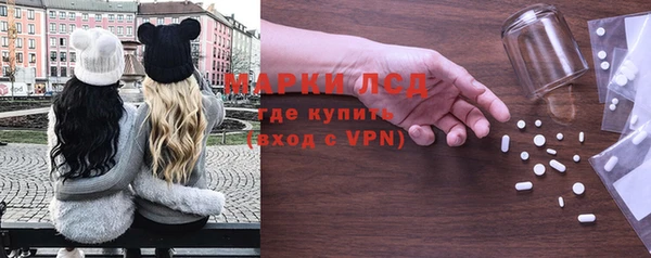 прущие грибы Каменногорск