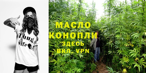mdpv Каменка