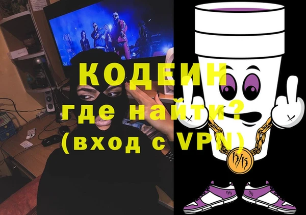 прущие грибы Каменногорск