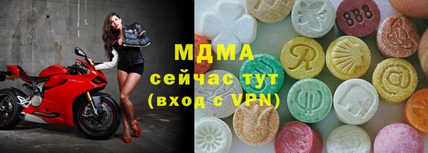 прущие грибы Каменногорск