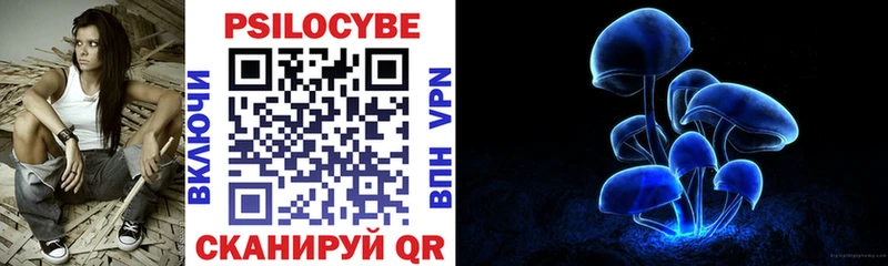 Купить где  Гурьевск  Псилоцибиновые грибы GOLDEN TEACHER 